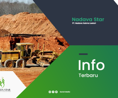 artikel1-nadavastar