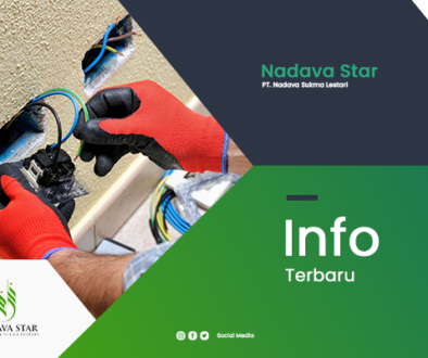 artikel2-nadavastar