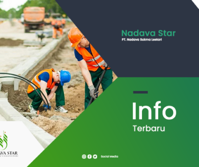 artikel3-nadavastar
